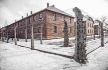 From Krakow: Auschwitz-Birkenau Memorial and Museum Guided Tour