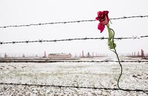 From Krakow: Auschwitz-Birkenau Memorial and Museum Guided Tour