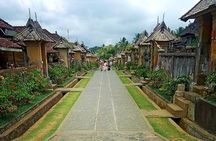 Besakih Temple Tour - Traditional Bali Village - All Inclusive