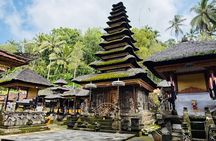 Besakih Temple Tour - Traditional Bali Village - All Inclusive