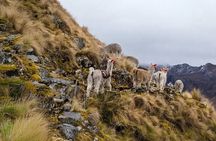 Lares Trek and Inca Trail to Machu Picchu – 5 Days / 4 Nights