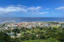 Dominica Nature Isle Serenity Rainforest & Ocean Views Tour