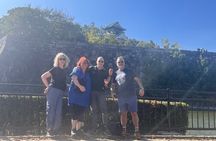 Osaka Private Walking Tour with a Local