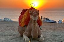 Camel Ride Experience With Walking Tour In Tangier