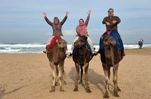 Camel Ride Experience With Walking Tour In Tangier