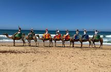 Camel Ride Experience With Walking Tour In Tangier