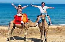 Camel Ride Experience With Walking Tour In Tangier