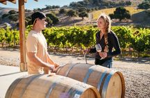 Sunset Eco Farm Experience Sheep Olive Oil Wine Cheese Tasting