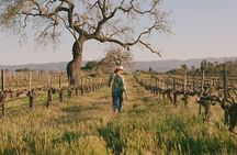 Sunset Eco Farm Experience Sheep Olive Oil Wine Cheese Tasting