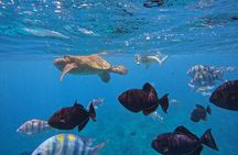 Private Waikiki Boat Charter – Create Your Own Ocean Experience