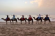 Tangier Camel Ride at Sunset with Moroccan tea and Sweets