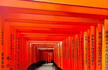 Kyoto&Nara Day Tour | English Guide & Private Vehicle