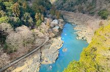 Kyoto&Nara Day Tour | English Guide & Private Vehicle