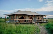  3 Day Flyin/Flyout of Zanzibar Tarangire, Ngorongoro & Manyara 