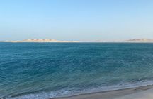 Doha Desert Safari & Traditional Keshta Experience | Dune Bashing