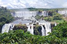 Bird Park and Waterfalls Brazilian side with guide