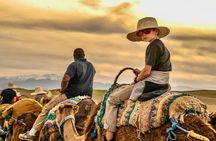 Agafay Desert Quad Biking, Sunset Camel Ride & Moroccan Dinner