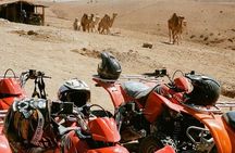 Agafay Desert Quad and Camel Rides with Dinner and Show