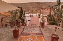 Agafay Desert Quad and Camel Rides with Dinner and Show