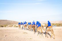 Agafay Desert Adventure Quad Biking Camel Trek and Dinner Show