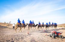 Agafay Desert Adventure Quad Biking Camel Trek and Dinner Show