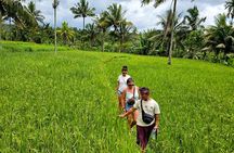 Lombok Hidden Waterfalls Walk, Rice Fields & Weaving Village