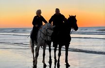 Horse Riding on Essaouira Beach Flexible Durations and Sunset