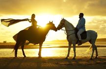 Horse Riding on Essaouira Beach Flexible Durations and Sunset