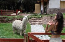 Cusco: visita el centro rescate de animales 
