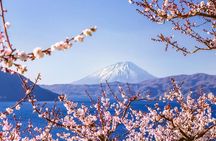 Tour at Sapporo from Noboribetsu to Otaru Canal with Guide