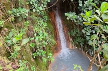 Explore Boiling Lake Guided hike with Hot springs and Gorge Swim