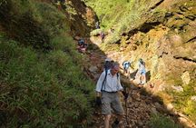 Explore Boiling Lake Guided hike with Hot springs and Gorge Swim