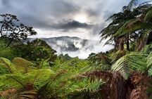 Afternoon Eco-Thermal Tour Explore Nature's Wonders