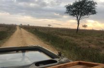 2 Days 1 Night Mikumi National Park By Express Tain(Sgr)