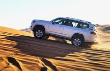 Desert Safari Dubai Red Dunes with BBQ VEG Dinner