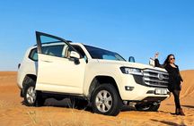 Desert Safari Dubai Red Dunes with BBQ VEG Dinner