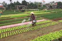 3 Craft Villages Tour by Bicycle Experience