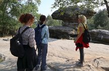 The Best of Bohemian and Saxon Switzerland Day Trip from Dresden