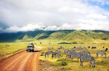2 Day Fly In - Fly Out Zanzibar to Tarangire & Ngorongoro Safari