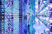 Small Group Moco Museum Barcelona: Skip the line Art Tour 