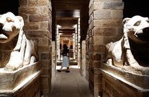 Private Alexandria Tour from Alexandria Port and Hotels