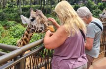 Private Cultural Souvenir Shopping and Giraffe Centre Tour