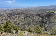 Volcano Road Trip & Roque Nublo Hike – Self-Guided Driving Tour