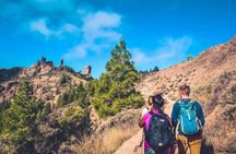 Volcano Road Trip & Roque Nublo Hike – Self-Guided Driving Tour