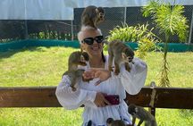 Puerto Plata: Monkey Tours Learning and Nature
