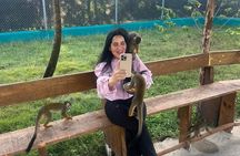 Puerto Plata: Monkey Tours Learning and Nature