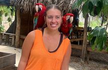 Puerto Plata: Monkey Tours Learning and Nature