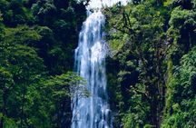 Moshi Materuni Waterfall Hike and Organic Coffee Tour