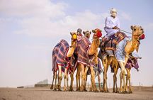 VIP Red Dunes Desert Safari Dubai - Dinner, Camel, Shows & Pickup