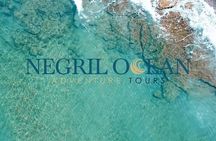 Snorkel and Cruise Glass Bottom Boat